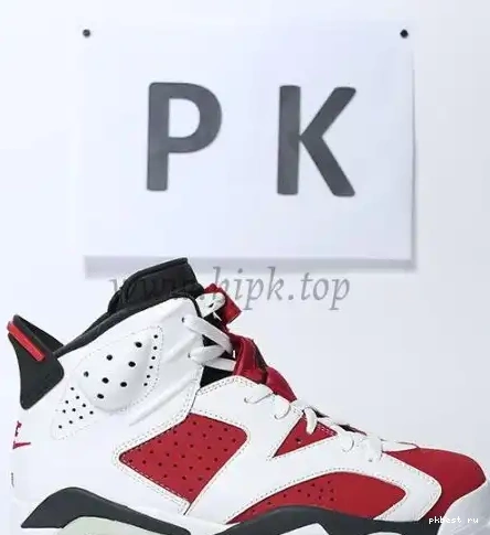 RETAIL PK Hare GOD MATERIALS TO READY SHIP Retro Jordan 6 0509